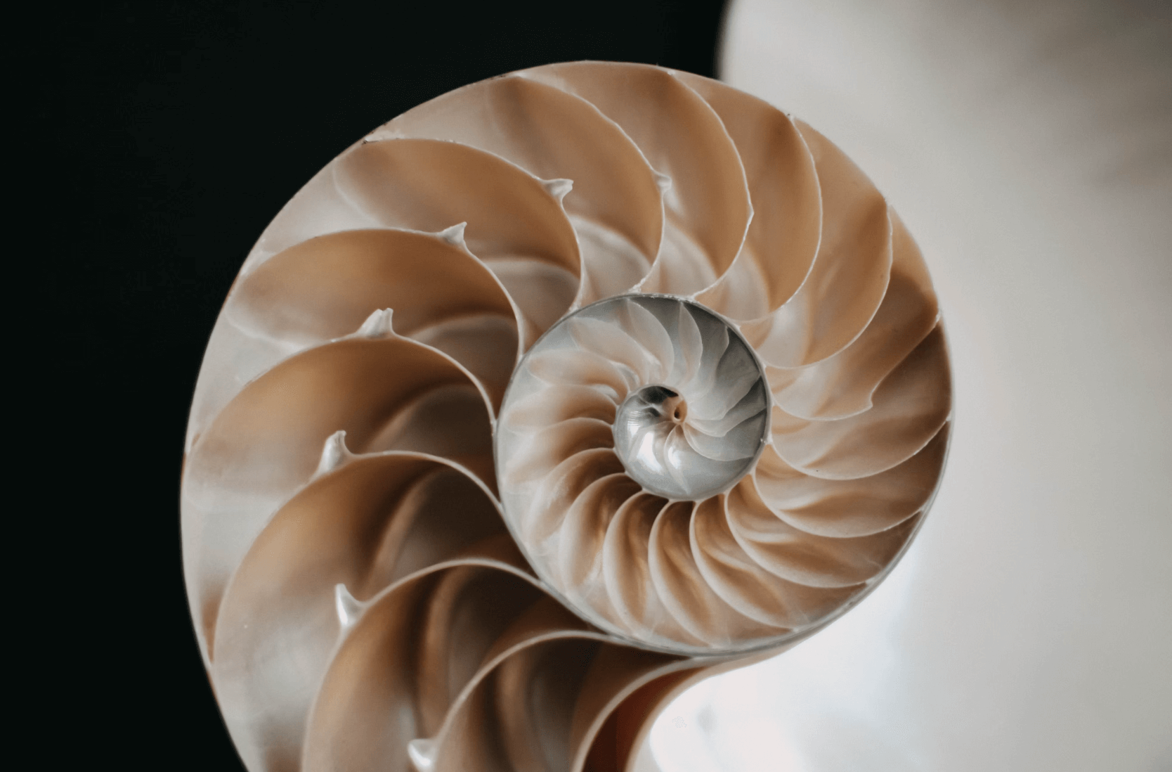 数学几何实验
